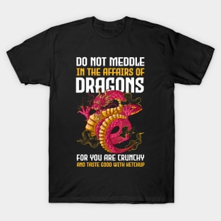 Do Not Meddle In The Affairs Of Dragons For You Are Crunchy T-Shirt